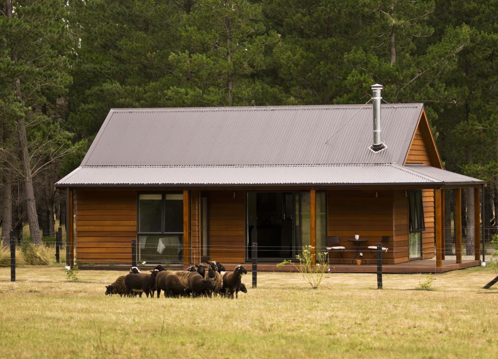 Woodbank Park Cottages 핸머스프링스 객실 사진
