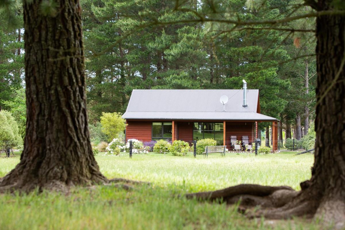 Woodbank Park Cottages 핸머스프링스 외부 사진
